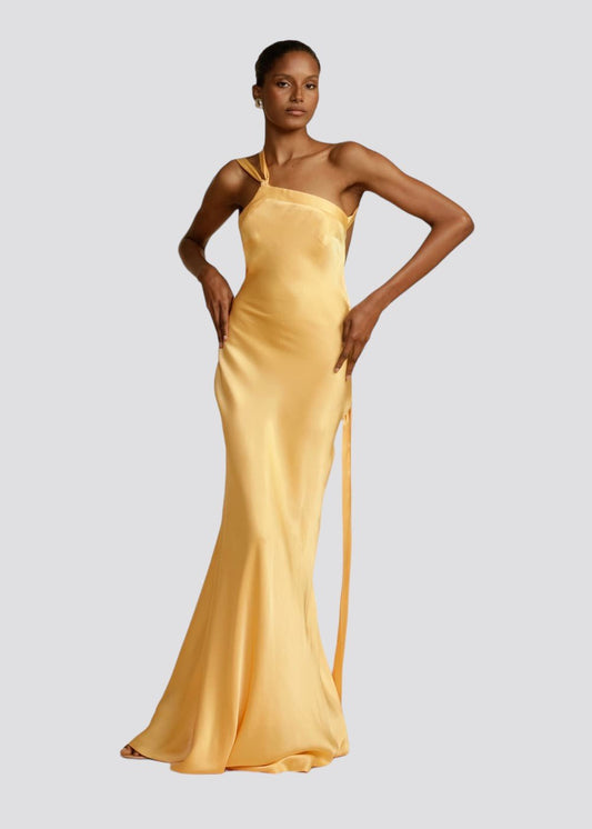 CELINE | Maxi vestido glamuroso